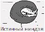 Ниндзя