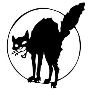 Recon company `Hidden` 2nd Airmobile scouts