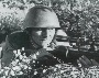 Василий Павлович Волков