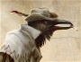 Carter `Dusty` Crowford