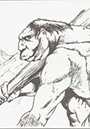 Cунга