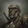 Друкк Золотоух
