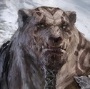 Видар `Пух`