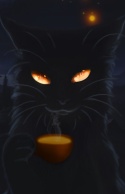 Кот