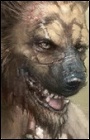 Брукка