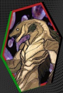Eel