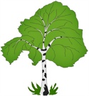Березка