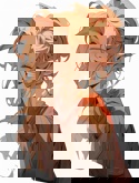 Элис