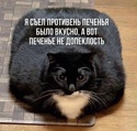 Место для вашей рекламы!