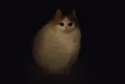 Котейка